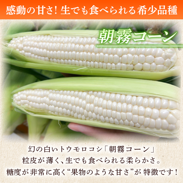 白いとうもろこし ホワイトコーンとは？雪の妖精など おすすめの種類まとめ│ご当地風土