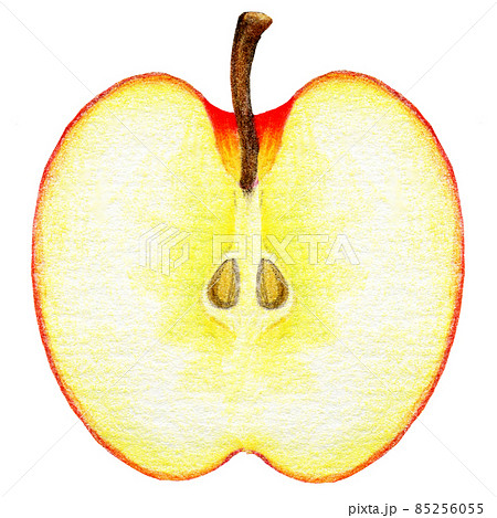 りんごの断面 1 - Atelier-Sachic ｱﾄﾘｴ‐ｻﾁｯｸ