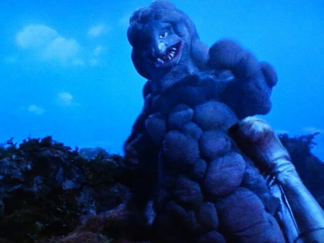 シュガロン観賞用