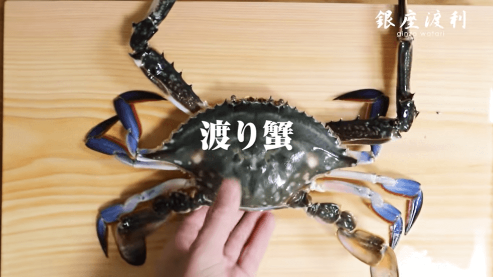 函館産 渡り蟹 ワタリガニ をゆでるカニの甲羅まで食べる男が書いた カニがわかるサイト