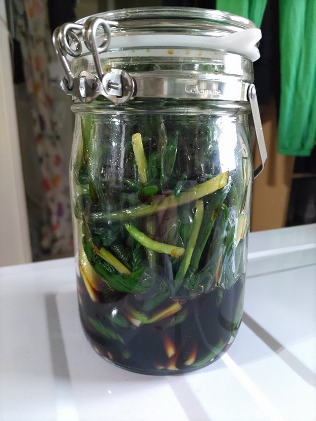 山菜 冷奴〜行者にんにく醤油漬け