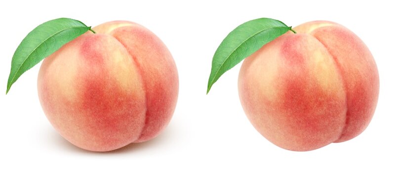 フリー素材、桃