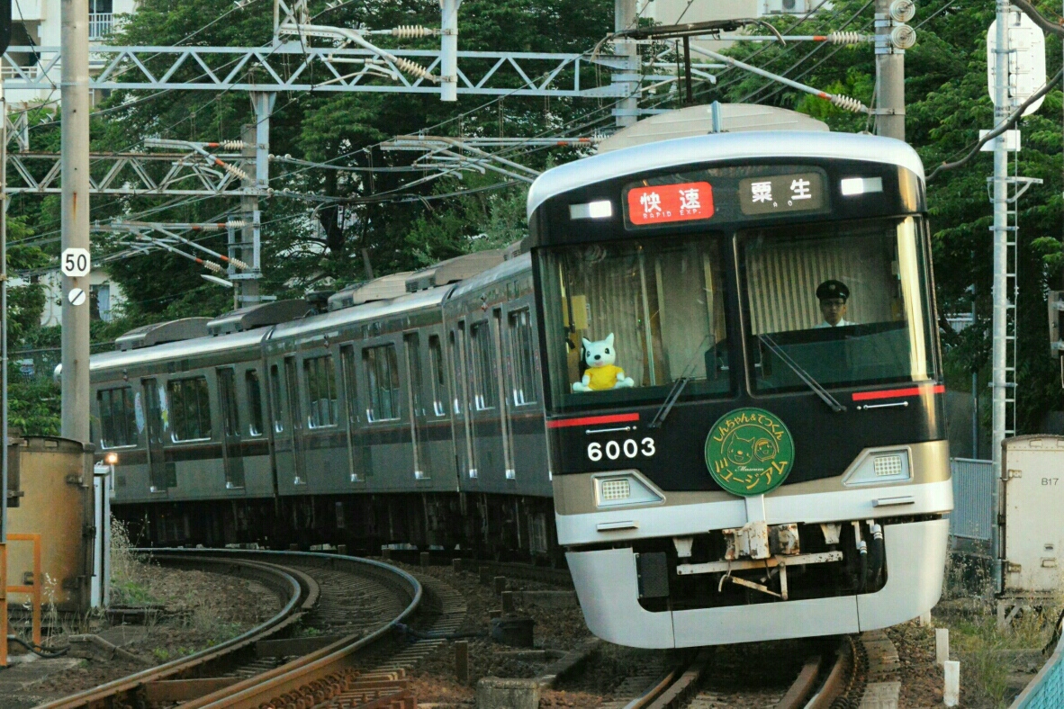 電車でGO! 神戸電鉄編｜【公式】神戸有馬温泉 元湯龍泉閣