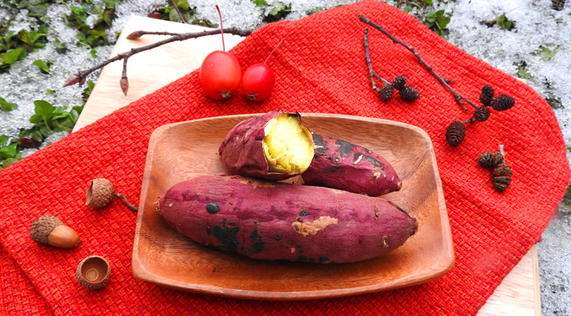 サツマイモ掘り＆手ぶらBBQプラン 機材と食材がセットになったお得なプランです園部ICから車で約7分！ ファミリー・カップル・女性にオススメお米の販売特典ありアマンズガーデン直営BBQ場 - じゃらん遊び体験