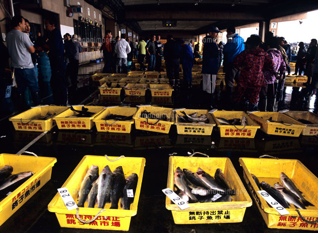 銚子漁港 第一卸売市場 千葉県 こころから