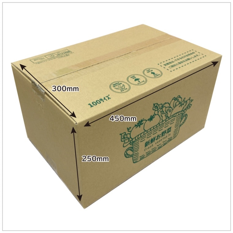 金曜日は宅配野菜ベジボックスの日🧑‍🌾 今日のラインナップはこんな感じ！夏野菜の盛りも過ぎ、ただいま端境期のため長野からの野菜が多くなってます。8月22日のベジボックス長野・アグレスのブロッコリー 八ヶ岳の東麓、標高1,300mに位置する野辺山高原の冷涼な