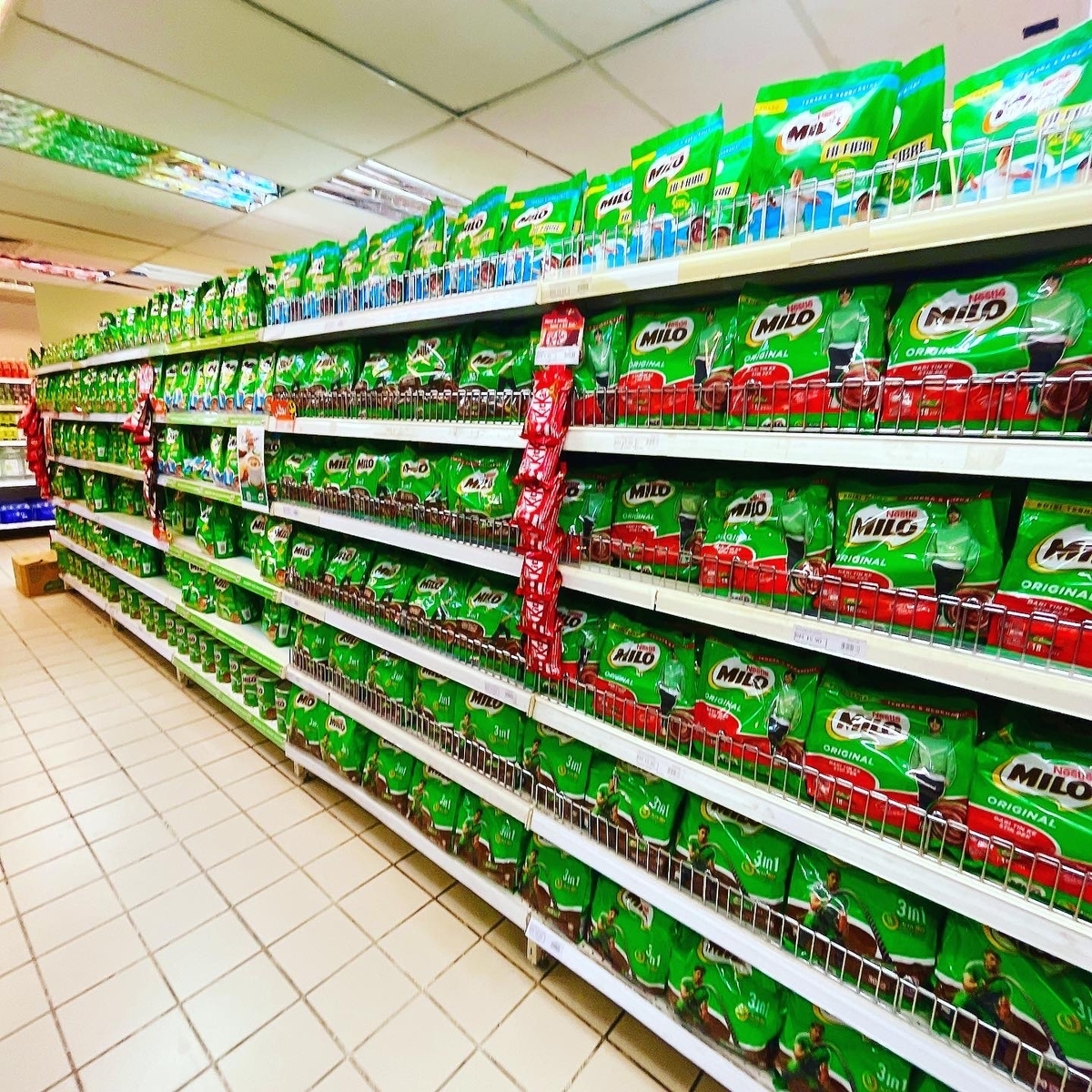 Miloのある生活che