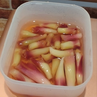 みょうがの忘れ物の甘酢漬け