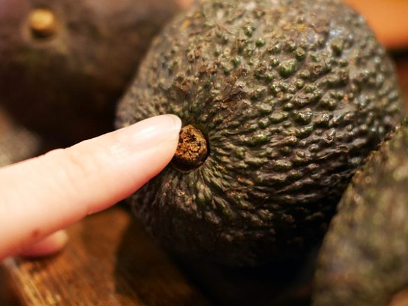 写真つき プロが教えるおいしいアボカドの選び方 - macaroni