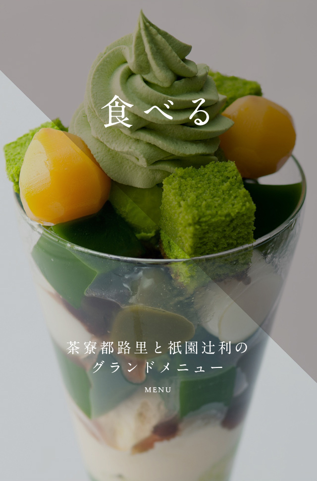 オオチャワンタケ 日本まるごと生き物図鑑