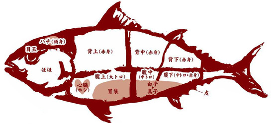 マグロきたぁっ！ - 丸友しまかのお魚日記