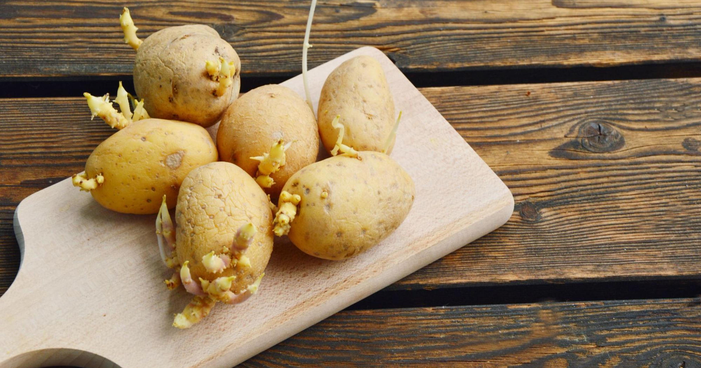 じゃがいもの芽の取り方!芽はどこまで取るの?キッコーマンホームクッキング