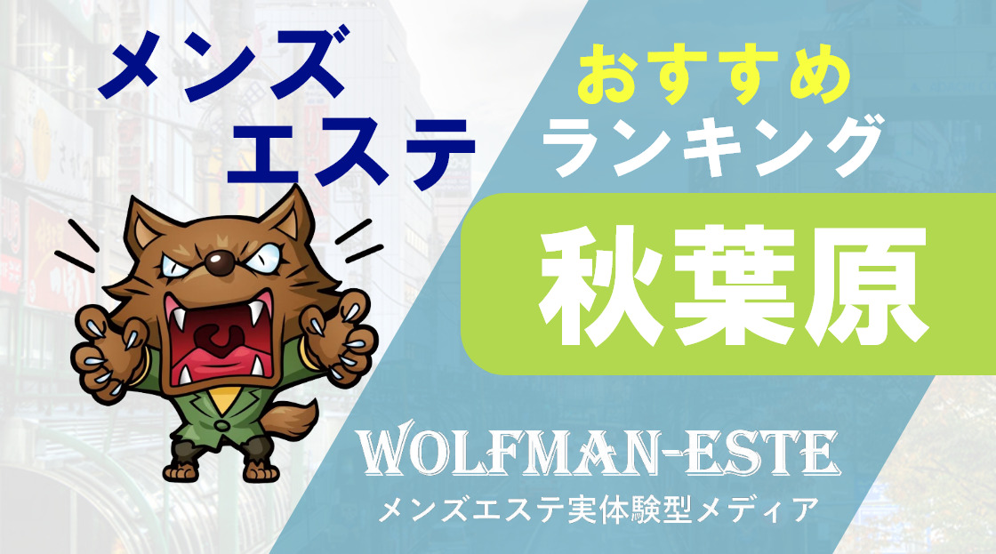 秋葉原・神田メンズエステRAISE（レイズ）求人