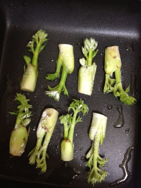 タラの芽と味わう白ワイン沢樹舞のおうちでごはん たべるのみんなで作る楽しく幸せな「食」サイト