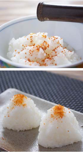 越前 塩うに 通販塩雲丹 60g入 塩うに 福井 産 国産 福井県産 塩うに 塩ウニ 塩雲丹 地物 越前海岸産 汐うに 塩蔵 汐ウニ