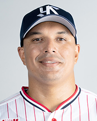 ヤクルト 本塁打での得点続く オスナが同点の13号ソロ 野球 デイリースポーツ online