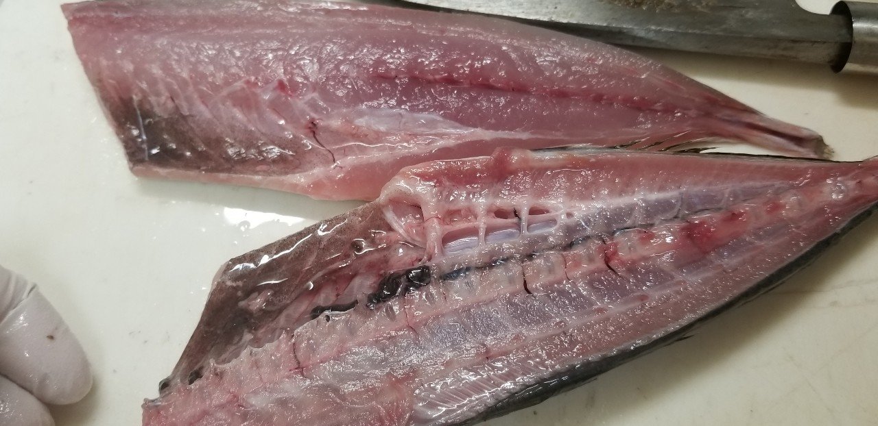 魚のさばき方 アジで挑戦！二枚おろし＆三枚おろしの方法イエモネ