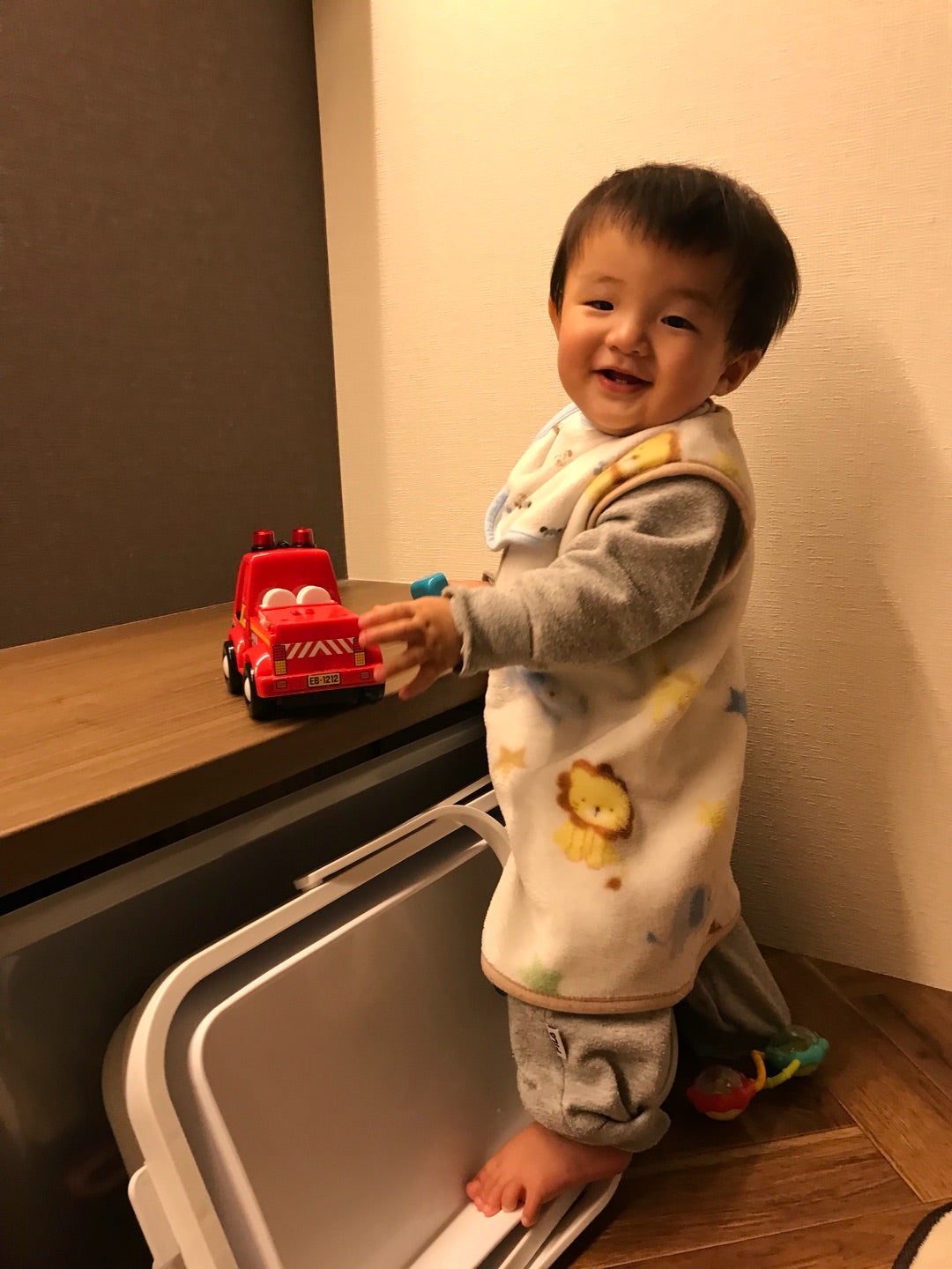 100均ダイソーのシリコン型9選！蒸しパンやマフィン、チョコ おすすめレシピもイチオシichioshi