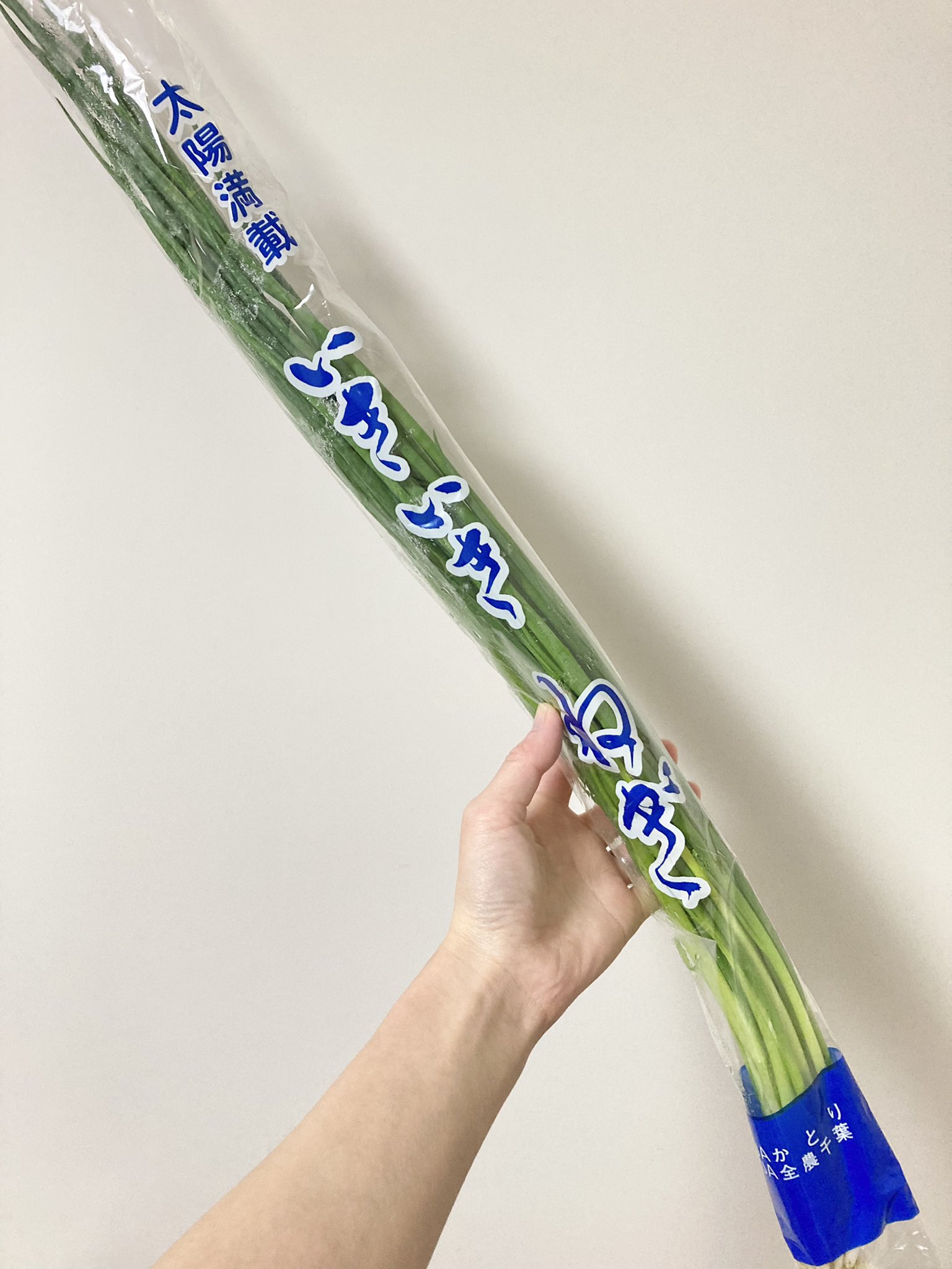 簡単便利！小ねぎの冷凍保存 by FKbabyクックパッド簡単おいしいみんなのレシピが392万品