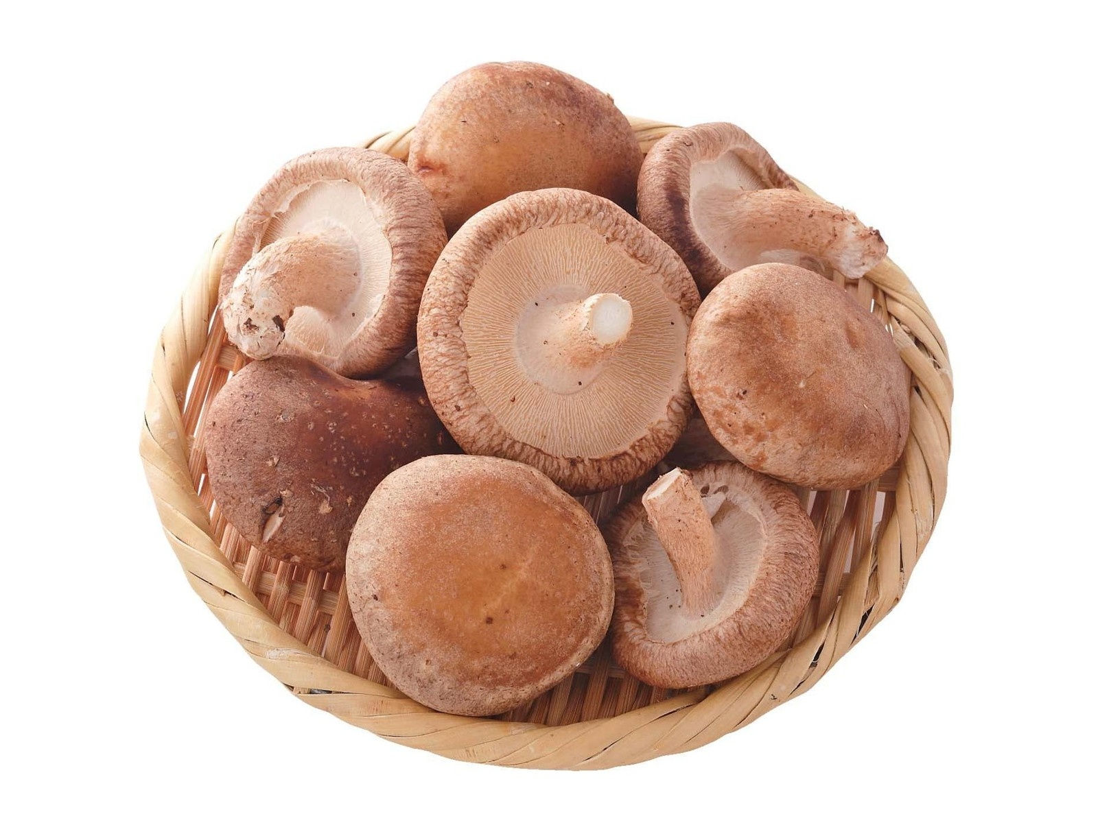 しいたけに発生した白いカビのようなものは食べられるの