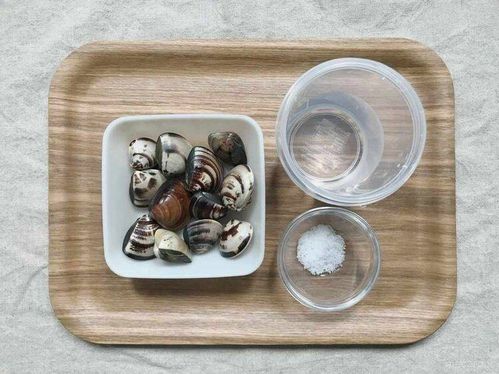 あさりの砂抜き方法toiro note 〜トイロノート〜 家族が笑顔になる、いつものごはんを彩るレシピサイト