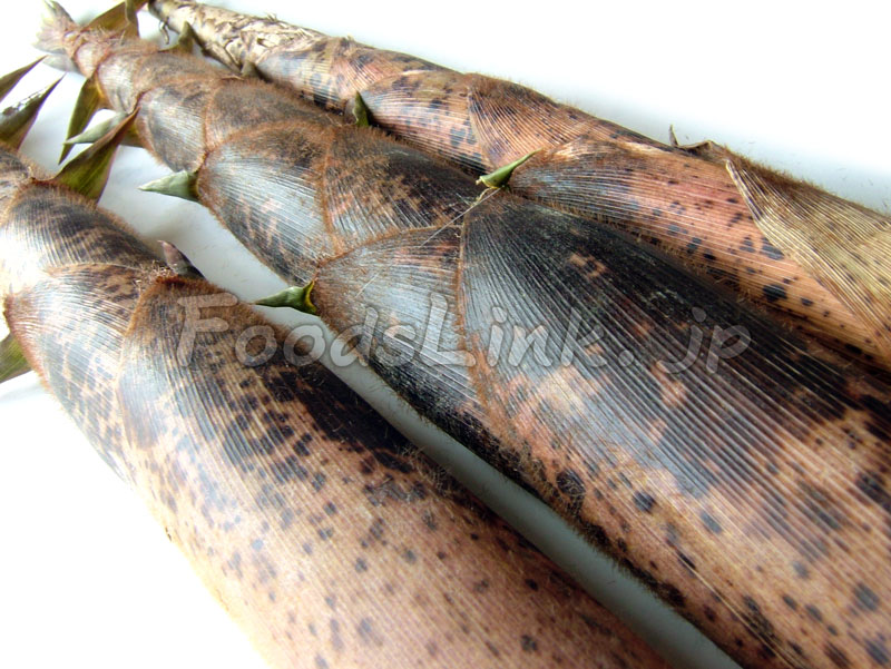 大量のたけのこ 真竹 を一度にあく抜きするITエンジニアブログ