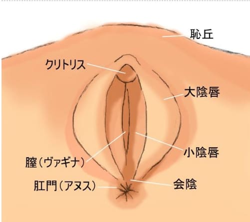 男女共通】乳首の一番気持ちいい舐め方14選！ちくびイキさせる方法 | 【きもイク】気持ちよくイクカラダ