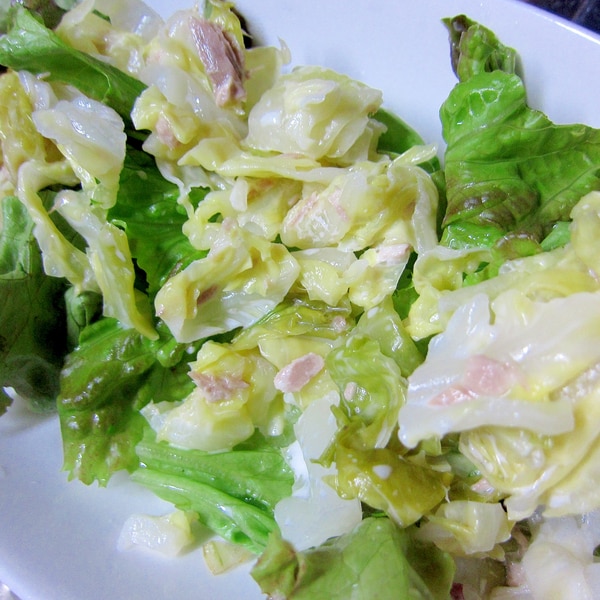 新玉ねぎとスナップエンドウのサラダはちみつの専門店なら杉養蜂園通販サイト