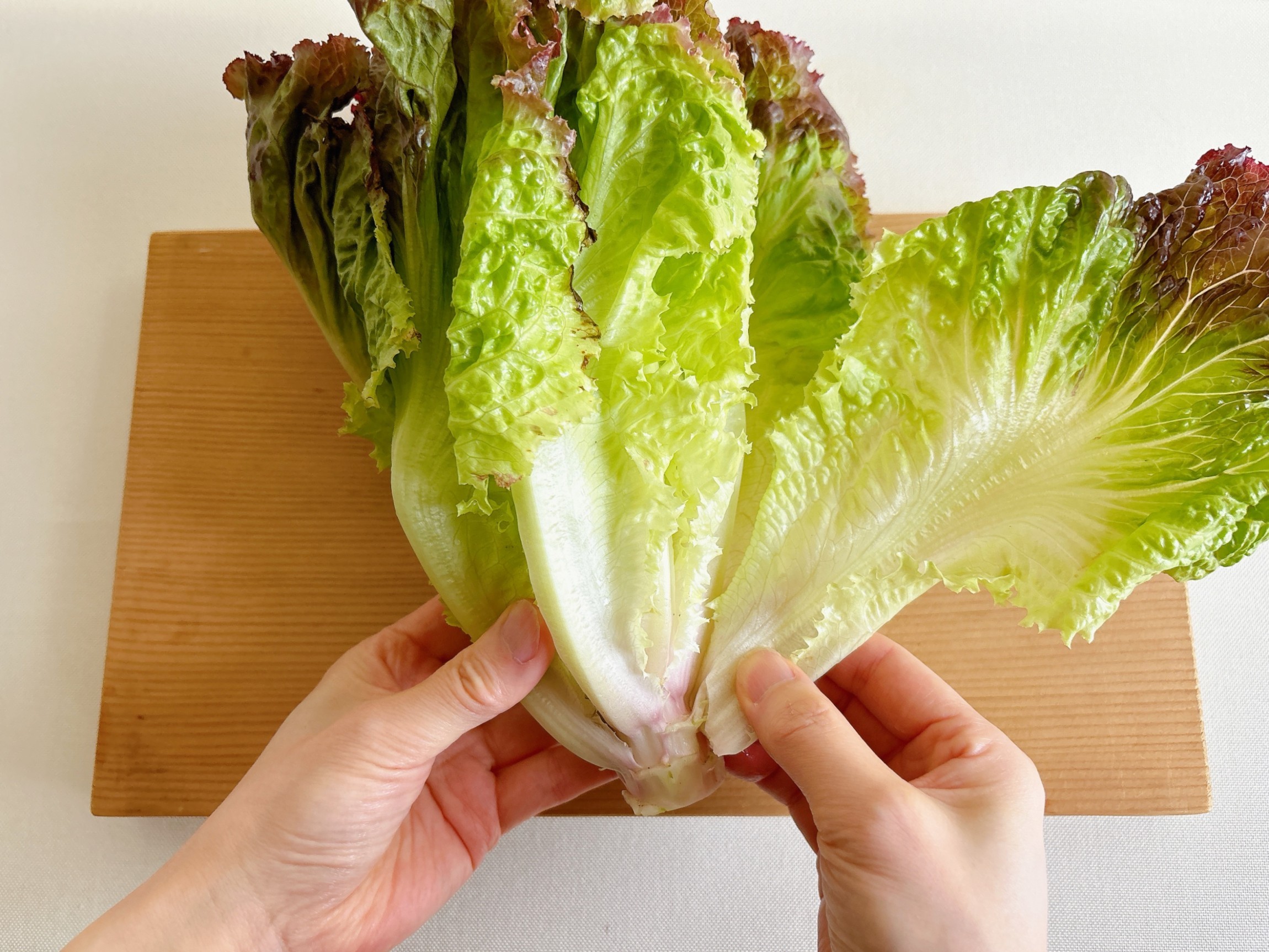 Leaflet リーフレット タッパー コンテナ4点セット TAKEYA の通販 by かおる's shopラクマ