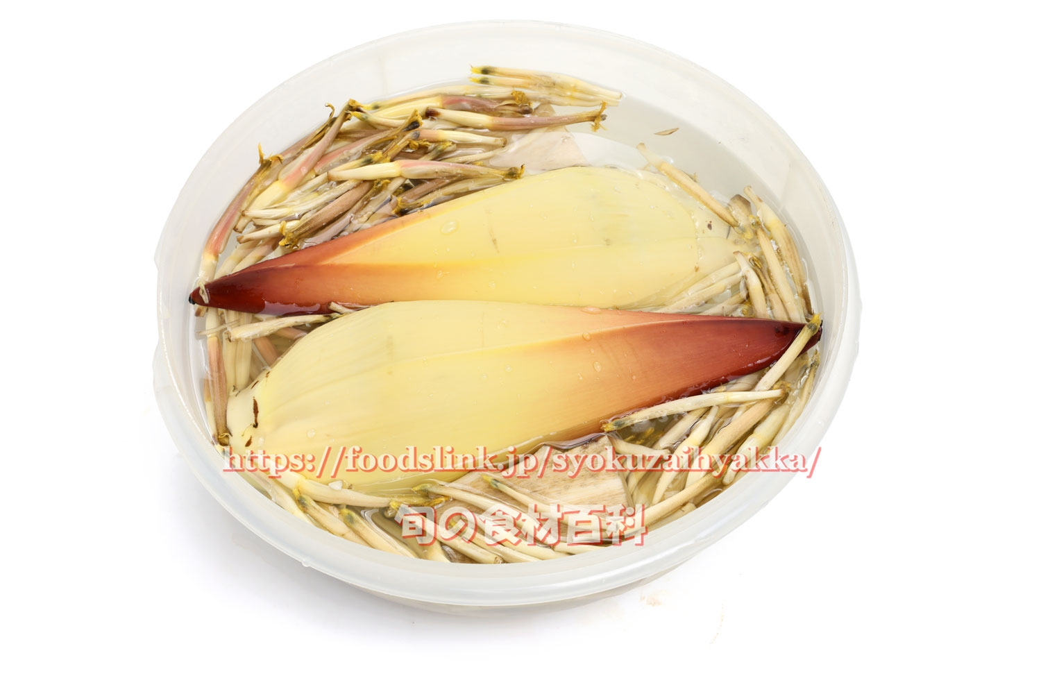 バナナハートバナナとパイナップルの情報発信バナナ・パイン研究所