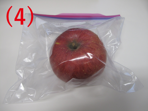 りんごの保存方法 長持ちさせる保存の仕方