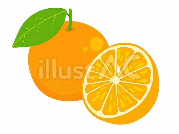 果物 断面」の12万点のロイヤリティフリー画像、写真素材、絵Shutterstock