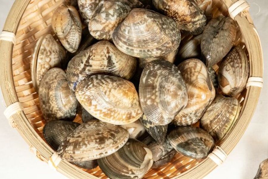あさりの砂抜き後の保存方法と保存期間 冷蔵 冷凍別に紹介