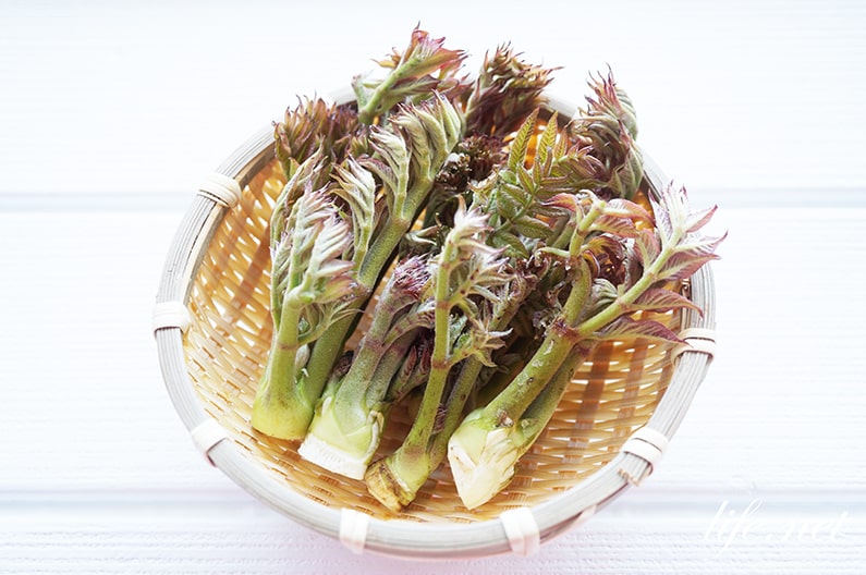 タラの芽グラタン山菜を使ったレシピ料理レシピ集 野菜百珍調べるタキイ種苗株式会社