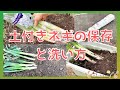 簡単！泥付き根付き太いねぎの下処理 by だんどり亭クックパッド簡単おいしいみんなのレシピが392万品