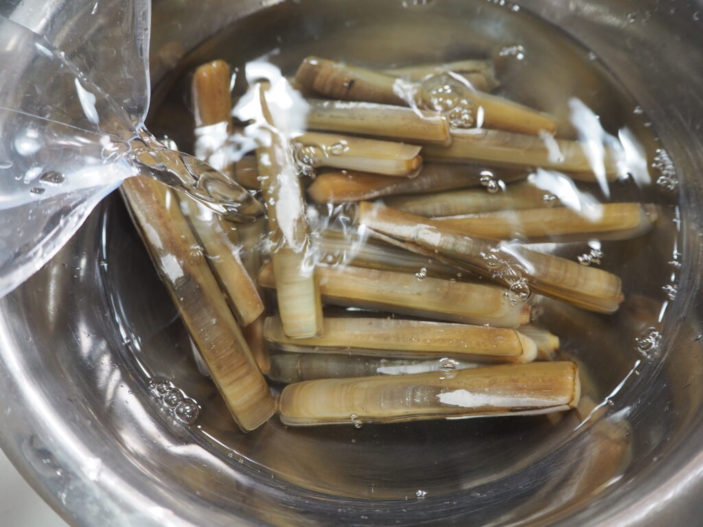 家庭用エアーポンプがひとつあると潮干狩りの楽しさが倍増する野食ハンマープライス