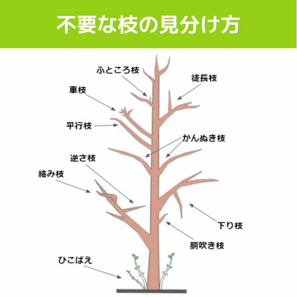 アメリカ式 気軽な持ち寄りパーティー『ポットラック』のおすすめレシピ集 2ページ目キナリノ