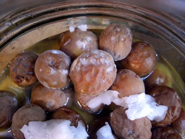 カビない✿1kg~!初心者でも梅干し漬け by 朝まとクックパッド簡単おいしいみんなのレシピが392万品