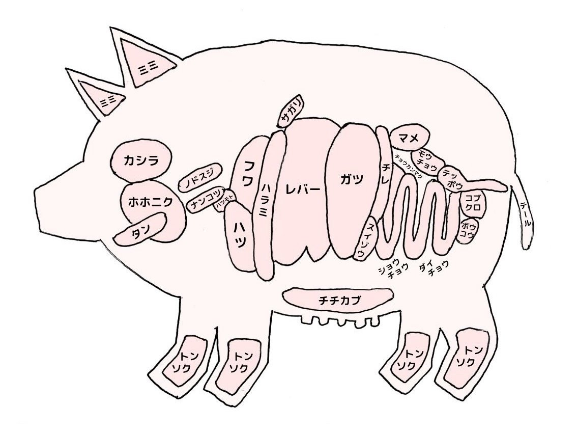 豚肉の部位と利用法その1
