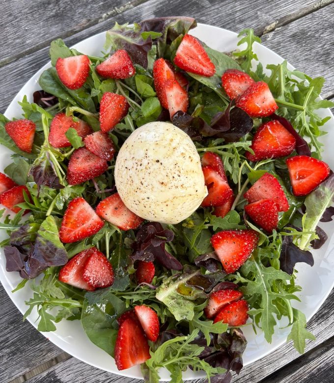 東京ブッラータの食べ方、この秋合わせたいフルーツ４選 - CHEESE STAND Media