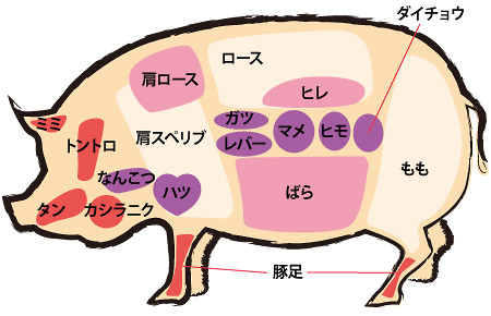 神奈川食肉センターお肉のライブラリー豚肉と牛肉 部位の名前と特徴 豚や牛、畜産についての情報を掲載