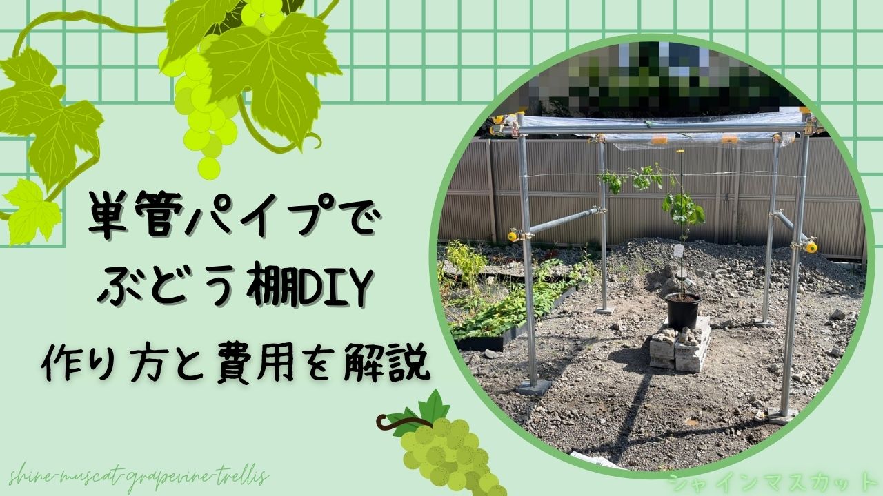 札幌市 N様邸 ぶどう棚取替工事リフォーム実例TOTO株式会社