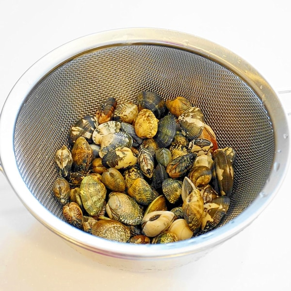 シオフキガイを砂に負けず食べてみる東京でとって食べる生活