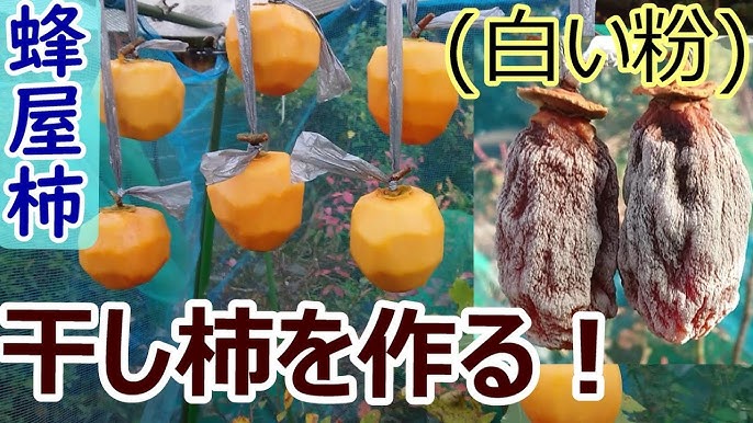 干し柿 ほしがき暦とならわし暦生活日本の季節を楽しむ暮らし