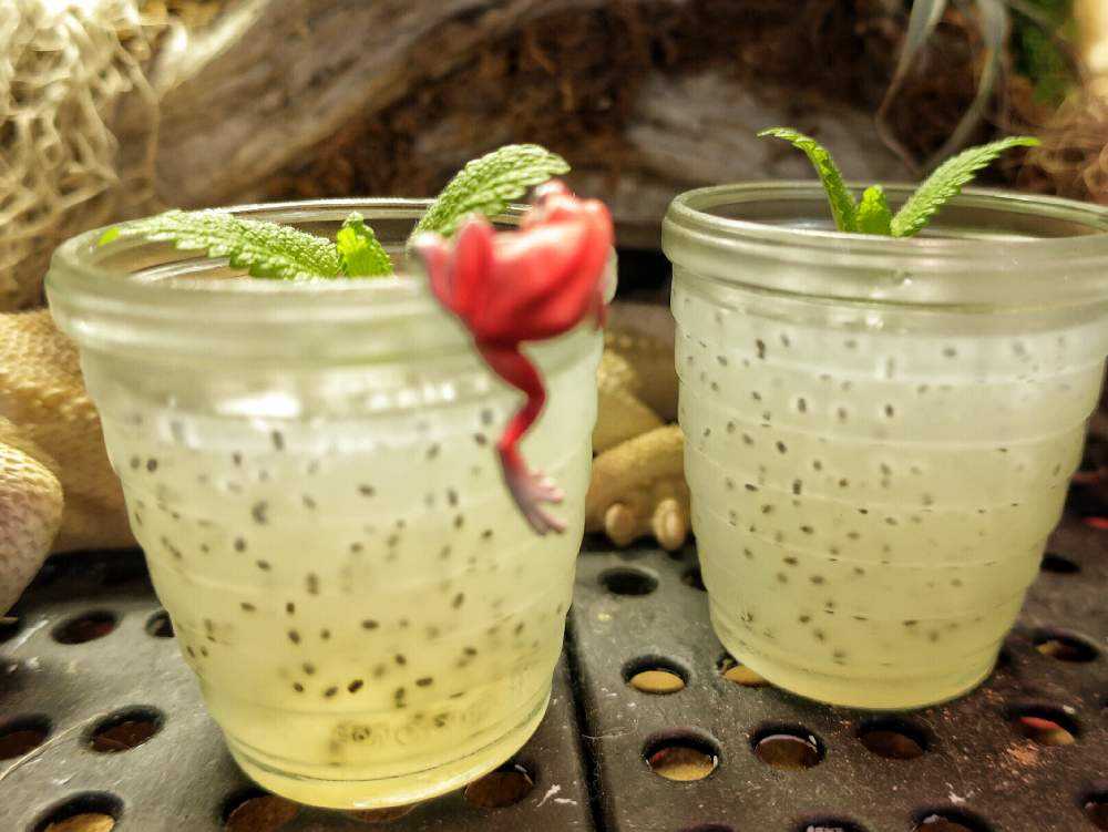 kakimoto arms 沖上 健太 on X: 