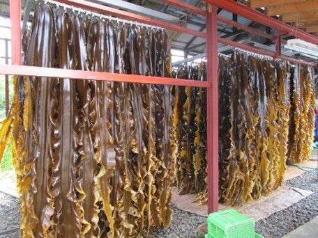 秋のキャンプにセブンイレブンのおでんフェスCamping Lab