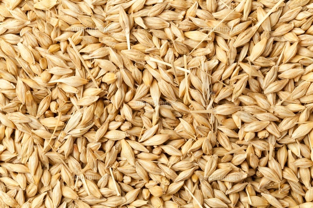 大麦へのこだわりおおむぎ工房公式通販