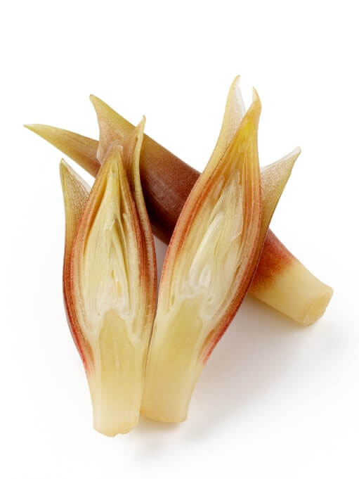 焼き魚に付け合わせのピンクと白の物体。 あれは何？あんしん！家族時間