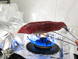 乙女鯛炙り藁焼きタタキ風 皮無しロイン高知県須崎市ふるさと納税サイト「さとふる」