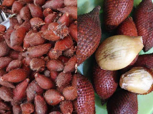 世界で食べられる珍しいフルーツ！カンボジア海外旅行・シェムリアップ便り from アメミル